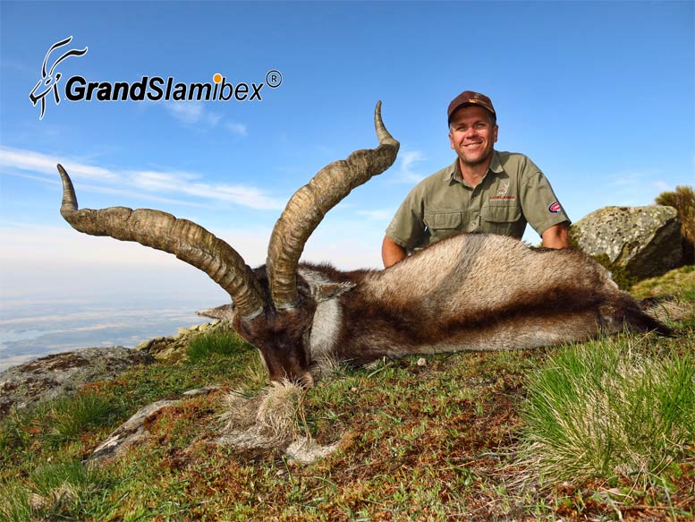 gredos-ibex-hunting-in-spain-4