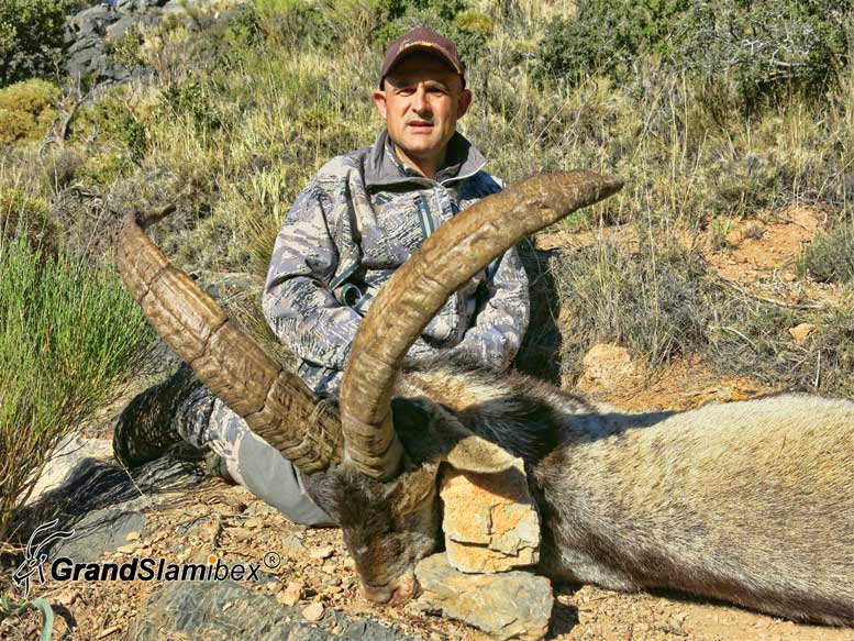 Southeastern-Ibex-hunting-in-Spain-S1 (4)